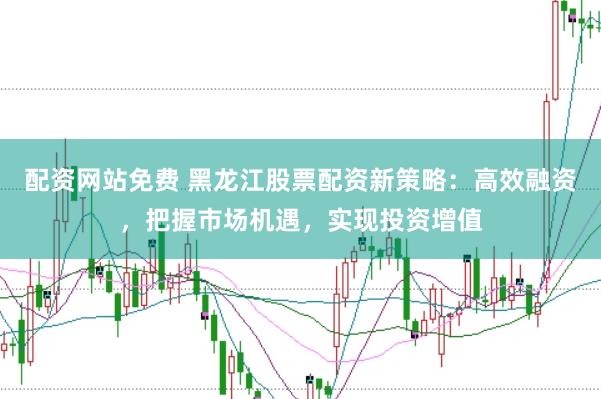 配资网站免费 黑龙江股票配资新策略：高效融资，把握市场机遇，实现投资增值