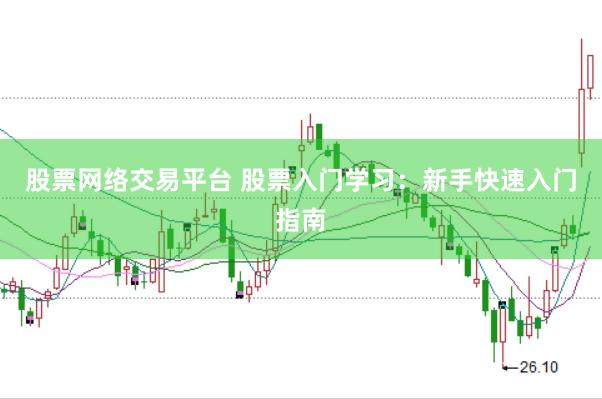 股票网络交易平台 股票入门学习：新手快速入门指南