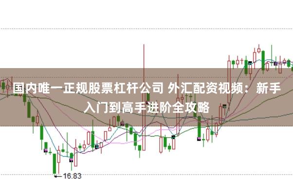 国内唯一正规股票杠杆公司 外汇配资视频：新手入门到高手进阶全攻略
