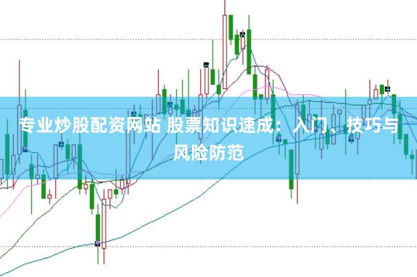 专业炒股配资网站 股票知识速成：入门、技巧与风险防范