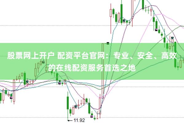 股票网上开户 配资平台官网：专业、安全、高效的在线配资服务首选之地