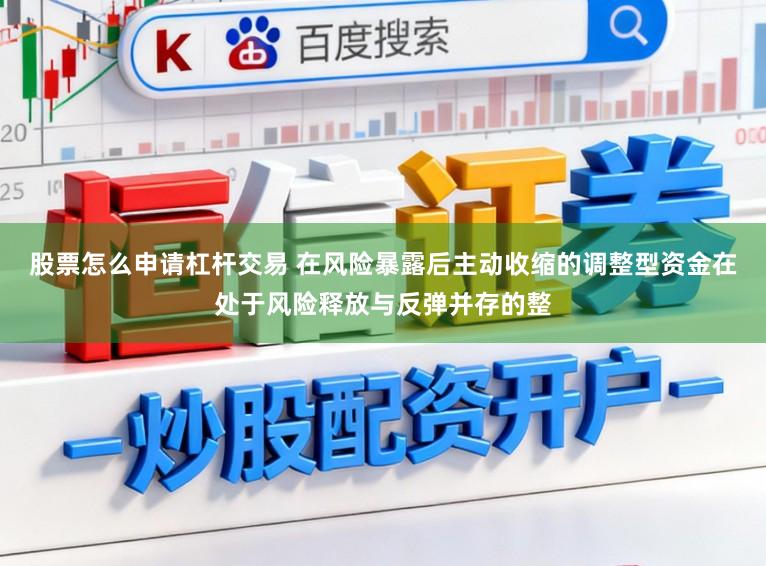 股票怎么申请杠杆交易 在风险暴露后主动收缩的调整型资金在处于风险释放与反弹并存的整